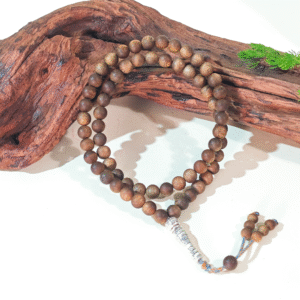 Qinan Round Bead Double Circle Bracelet